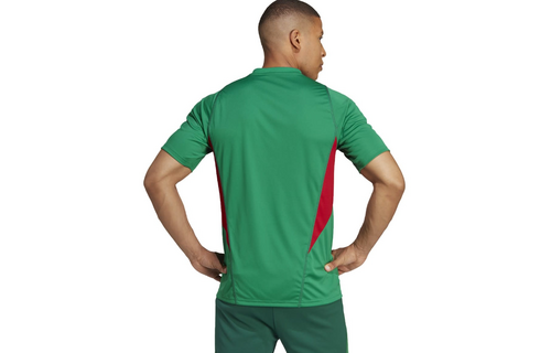 adidas Mexico 2025 Pre Match Training Jersey - Green