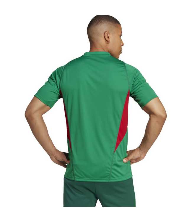 adidas adidas Mexico 2025 Pre Match Training Jersey - Green