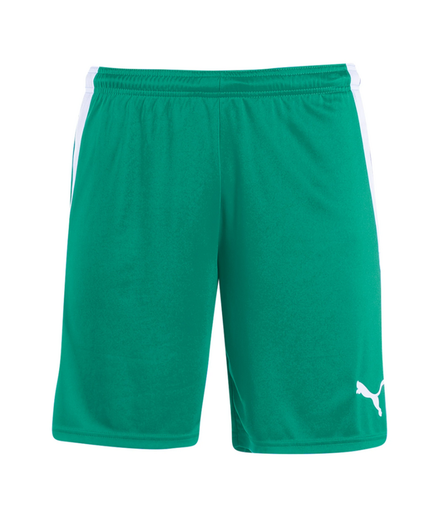 Puma Puma  Mens Team Liga 25 Soccer Shorts