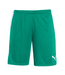 Puma Puma  Mens Team Liga 25 Soccer Shorts
