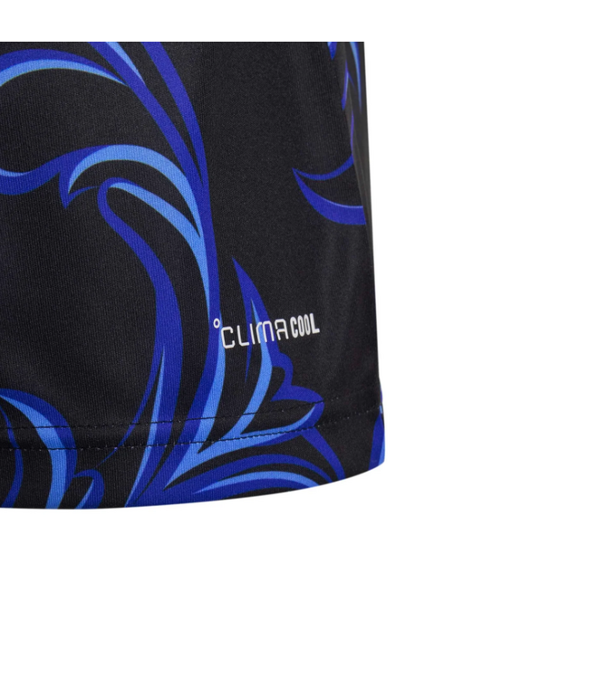 adidas adidas Argentina World Cup 2026 Away Jersey - Black/Lucid Blue/Blue Burst