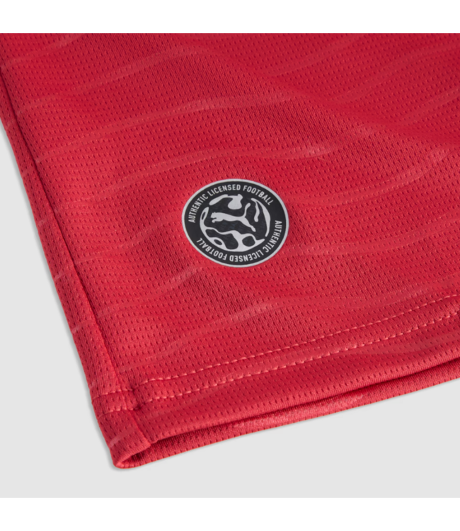 Puma Puma Portugal World Cup 2026 Cristiano Ronaldo Home Jersey - Club Red/Green Lagoon