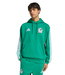 adidas adidas Mexico WC World Cup 2026 DNA Graphic Hoodie- Bold Green