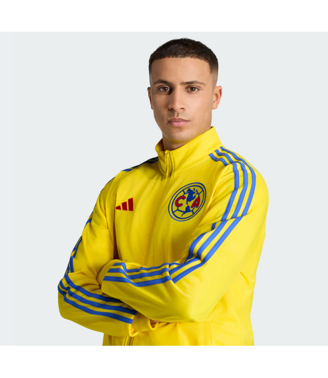 adidas adidas Club America 2025 - 26 DNA Track Jacket - Yellow