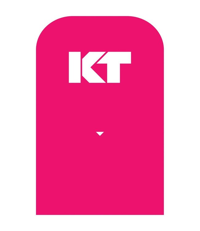 GearX Pro KT Tape Cotton 20 Strip 10" Precut
