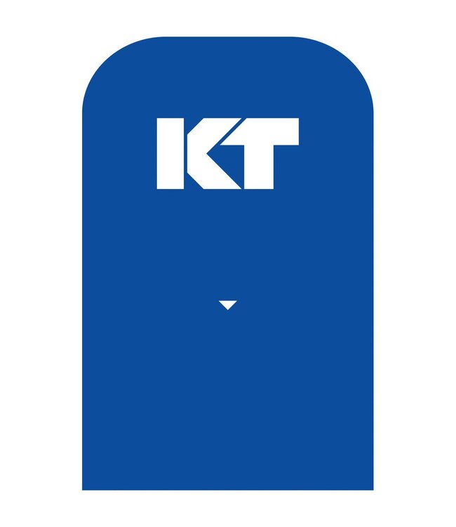 GearX Pro KT Tape Cotton 20 Strip 10" Precut