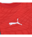 Puma Puma Portugal WC World Cup 2026 Training Jersey - Club Red/Silver Mist