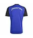 adidas adidas Argentina World Cup 2026 PreMatch Training Jersey - Lucid Blue/Back