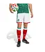 adidas adidas Mexico WC World Cup 2026 Home Shorts - White/Red/Vivid Green