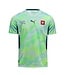 Puma Puma Switzerland WC World Cup 2026 Away Jersey - Sea Glass/Dark Indigo