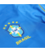 Nike Nike Youth Brazil WC World Cup 2026 Strike PreMatch Training Jersey - Blue/Light Menta/Midwest Gold