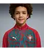 Puma Puma Youth Portugal WC World Cup 2026 Long Sleeve Training Drill Top- Club Red/Green Lagoon