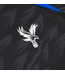Macron Macron Crystal Palace 2026 - 27 Authentic Third Eagle Black Jersey -Black/Red/Royal Blue