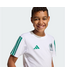 adidas adidas Youth Mexico WC World Cup 2026 DNA Fan Tee Shirt - White