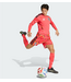 adidas adidas Japan World Cup 2026 Long Sleeve Goalkeeper Jersey - Semi Lucid Red