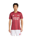 adidas adidas Arsenal 2025 - 26 Prematch Training Jersey- Burgundy/Pure Ruby