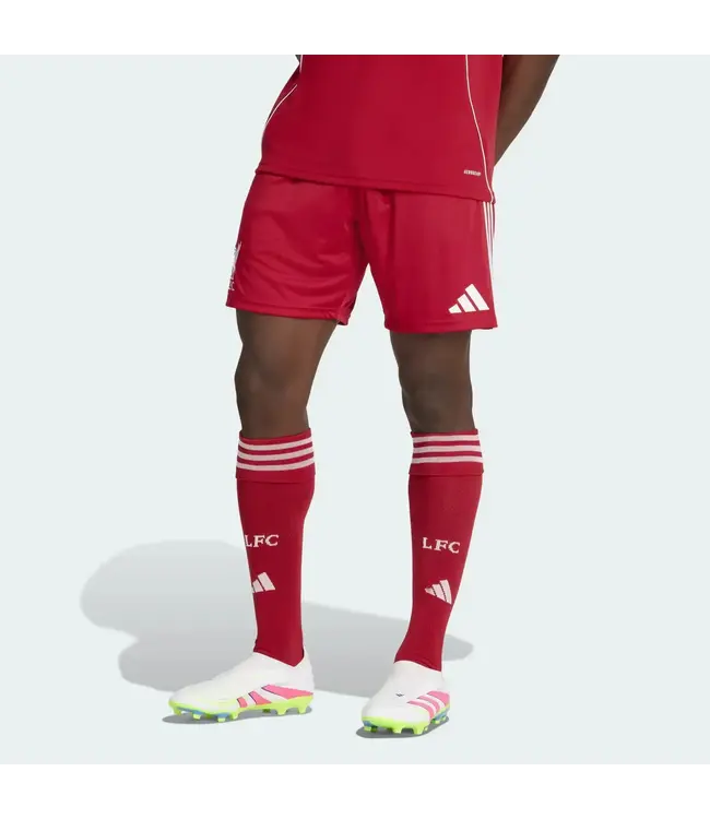 adidas adidas Liverpool 25 / 26 Authentic Home Shorts - Strawberry Red