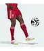 adidas adidas Liverpool 25 / 26 Authentic Home Shorts - Strawberry Red