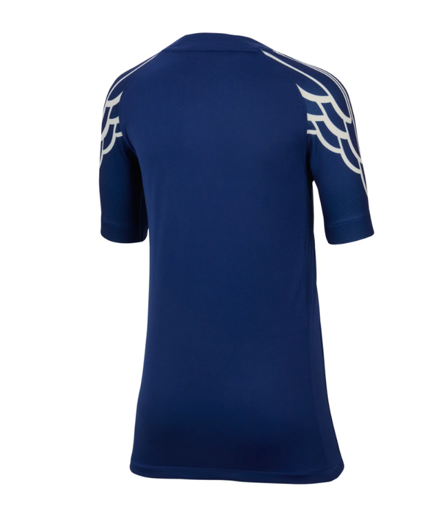 Nike Nike Youth Paris Saint German PSG  2025 - 26 Fourth Jersey - Blue Void/Phantom
