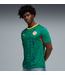 Puma Puma Senegal WC World Cup 2026 Away Jersey - Wild Green/Red