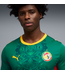 Puma Puma Senegal WC World Cup 2026 Away Jersey - Wild Green/Red