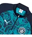 Puma Puma Manchester City 2025 - 26 Quarter Zip Training Top - Dark Navy/Jade