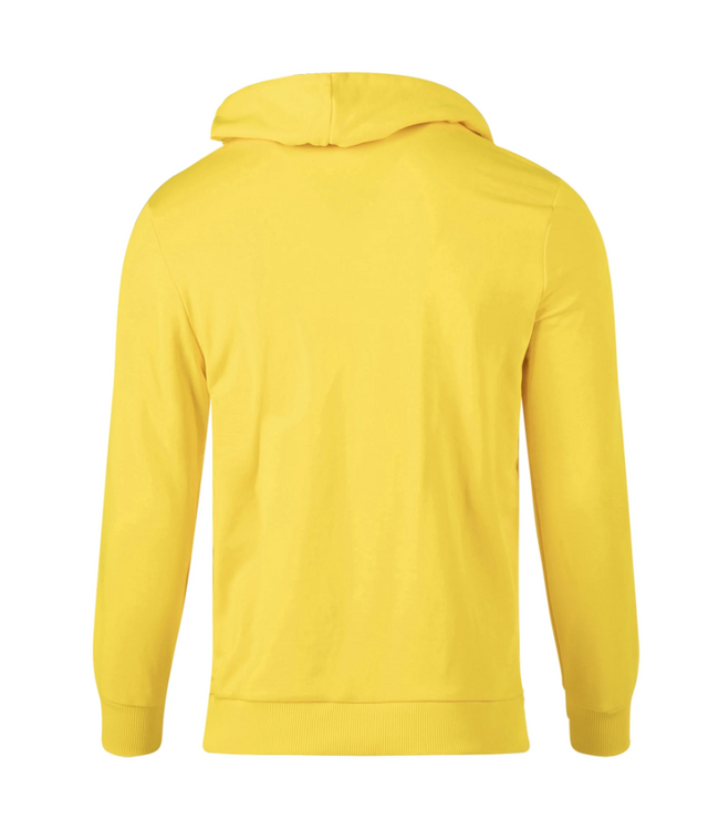 Puma Puma BVB Borussia Dortmund 2025 - 26  ftbl Core Hoodie - Yellow