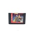 Phantasy Star IV Sega Genesis