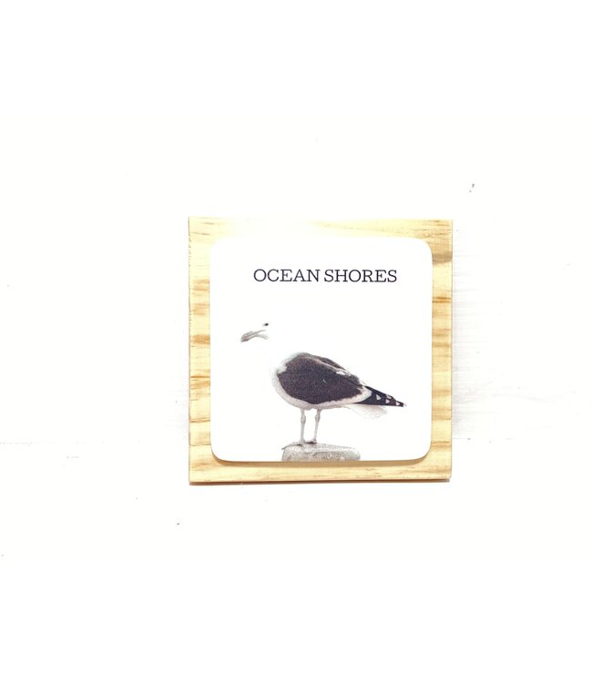 BW Sea Gull Block with Tile Bone