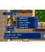 Phantasy Star IV Sega Genesis