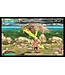 Nintendo 3DS Code Of Princess 3DS
