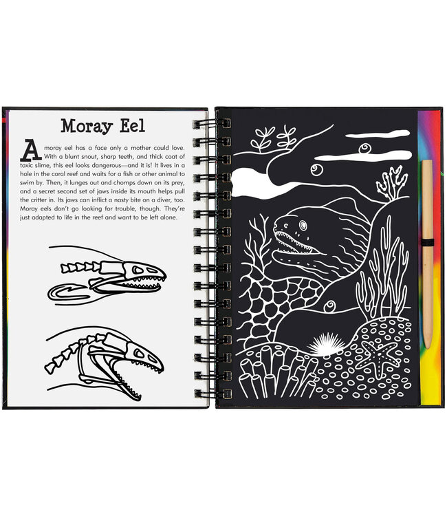 Peter Pauper Press Scratch & Sketch Coral Reefs Trace Along