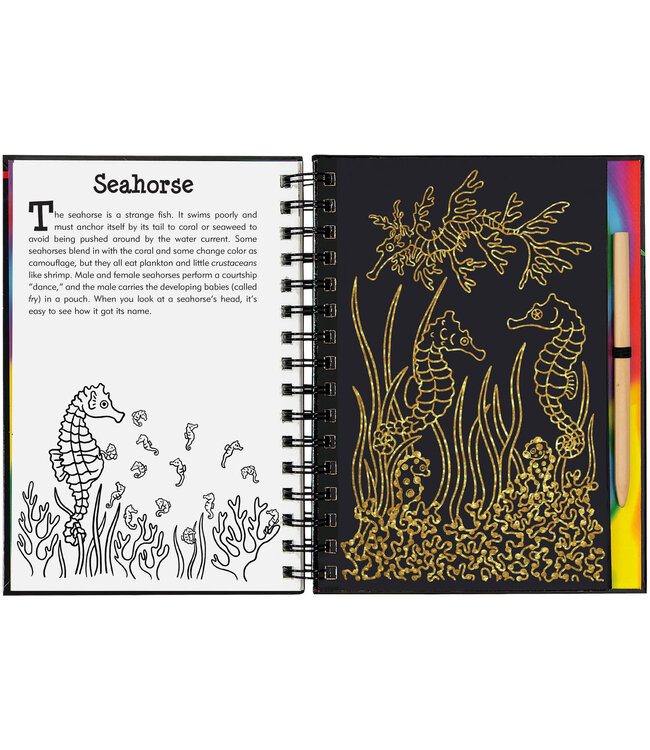 Peter Pauper Press Scratch & Sketch Coral Reefs Trace Along