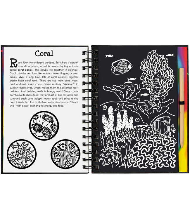 Peter Pauper Press Scratch & Sketch Coral Reefs Trace Along