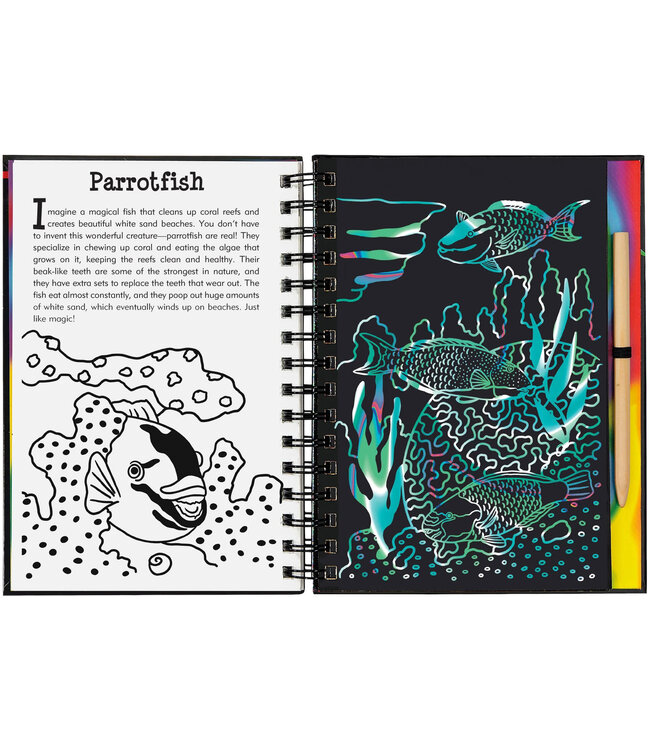 Peter Pauper Press Scratch & Sketch Coral Reefs Trace Along