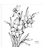 Peter Pauper Press Color Book Spring Blooms