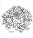 Peter Pauper Press Color Book Spring Blooms