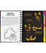 Peter Pauper Press Scratch & Sketch Kittens