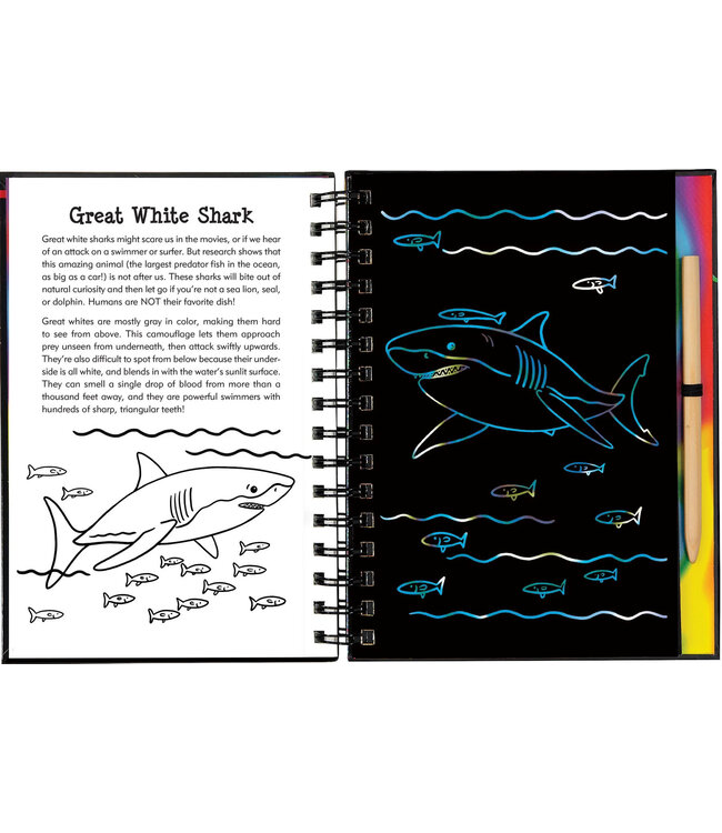 Peter Pauper Press Scartch &  Sketch Sharks