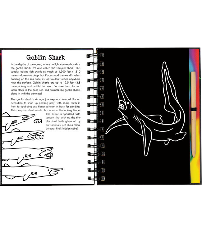 Peter Pauper Press Scartch &  Sketch Sharks