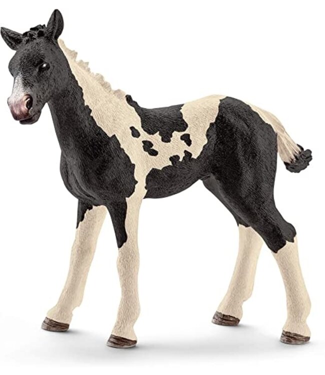 Schleich Pinto Foal