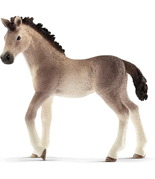 Schleich Andalusian Foal Schleich
