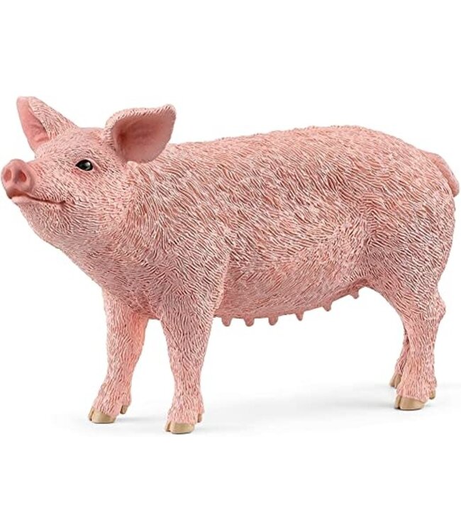 Schleich Pig Schleich Figure