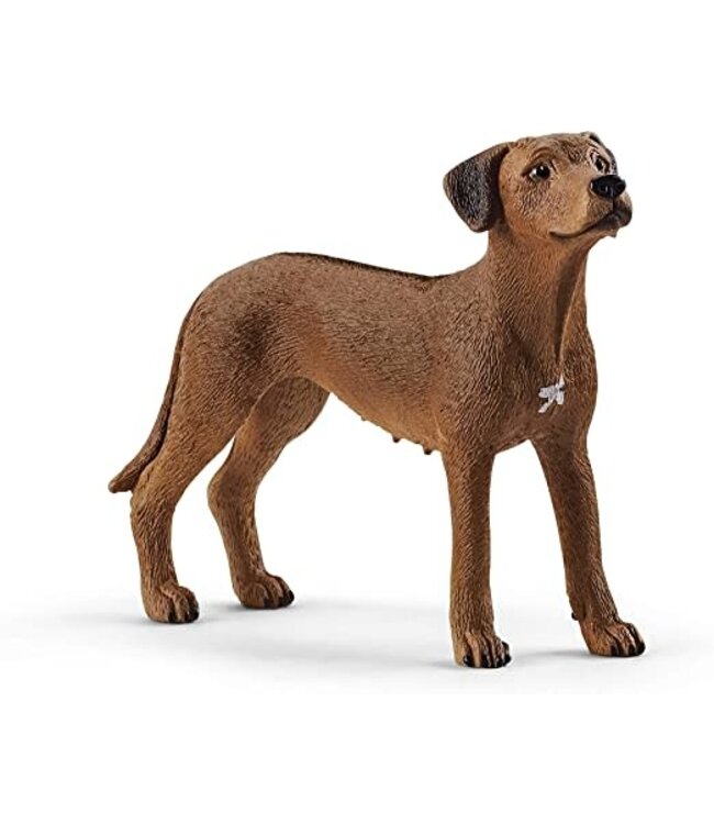 Schleich Rhodesian Ridgeback