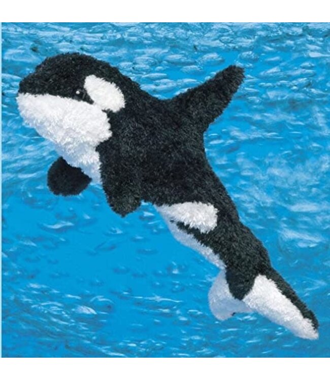 Douglas Company Spout Orca Whale