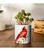 Demdaco Cardinal Succulent