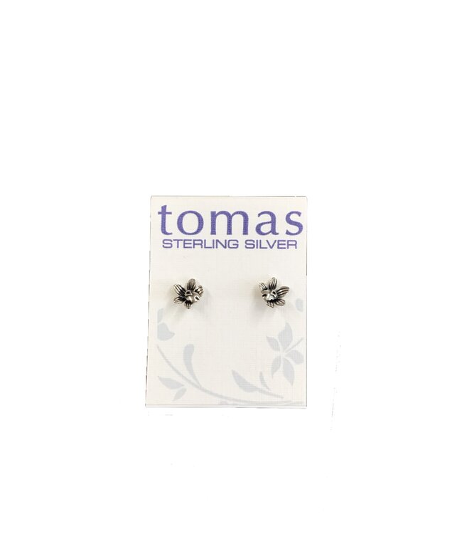 Tomas Orchid Stud 2