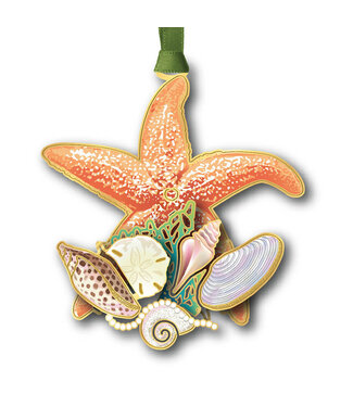 Beacon Design Shells and Starfish