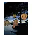 Oval 40CM  Paisley Lantern Green Lumiz LED Light With Remote Control