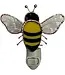 Gift Essentials Bee Nightlight
